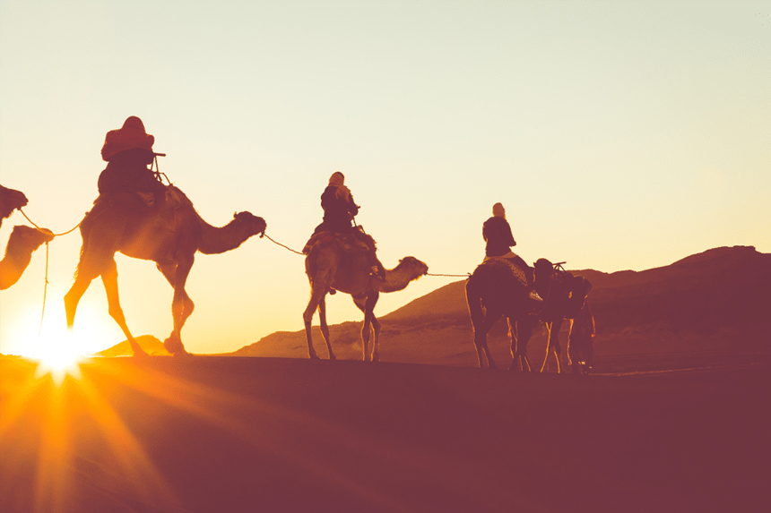 Morning Desert Safari